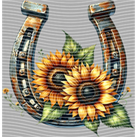 Country music-CM-1136